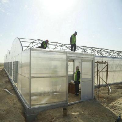 China Anti-windy Multi-span Poly Carbonate Greenhouse For Middle East Countries for sale