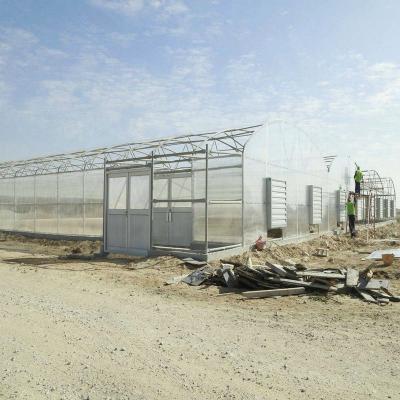 China Low Cost Anti-windy Frame Poly Carbonate Greenhouse For Middle East Countries for sale