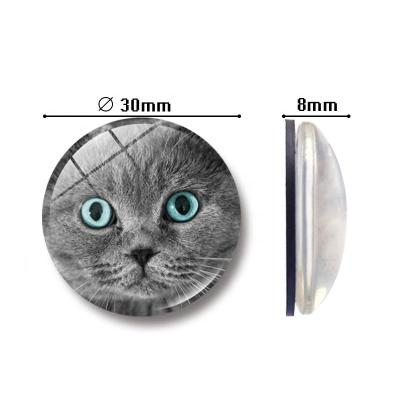 China Amazon Best Selling Steampunk Cat 30MM Animal Gift Pet Dome Note Holder Glass Fridge Magnet From Amazon for sale