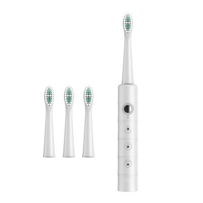 China IPX7 Shape Soft Clean White High Quality Sonic Bamboo Contra-Action Electric Toothbrush Z2 Intelligent Sonic Electric Toothbrush for sale