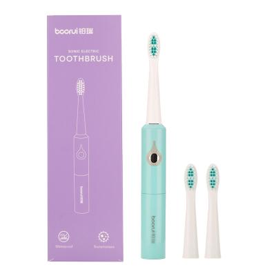 China IPX7 Battery Clean Sonic Waterproof Electric Toothbrush Electric Toothbrush Electronic Toothbrush For Adults 022 for sale