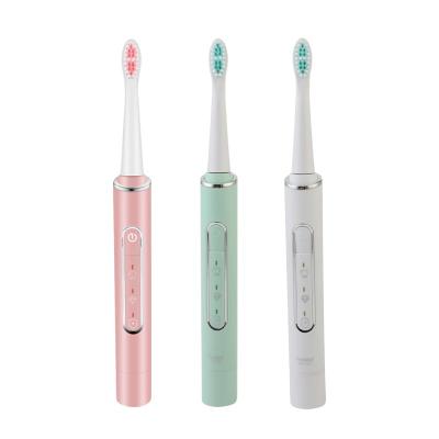 China Z3 Rechargeable Adult Electric Toothbrush IPX7 Green White Pink Color Compact Clean Candy Soft White Sonic Toothbrush for sale