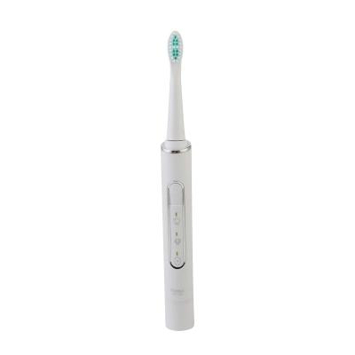 China Cheap Pink White Electric Toothbrush Vibrator Soft Clean White Green IPX7 Volume Powered Electric Toothbrush USB Charging 31000 Vibration Z3 for sale