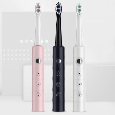 China Cheap Bulk Electric Toothbrush Z2 China Custom Bamboo Waterproof High Quality Soft Clean White Shape IPX7 Electric Toothbrush for sale