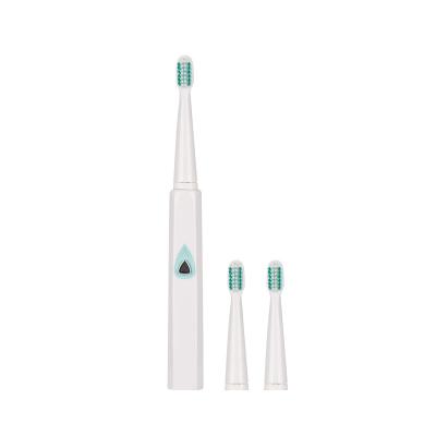 China AA Soft Clean White Battery Powered Electric Toothbrush Whitening Dupont Bristle Care Electric Toothbrush Oral Replacement 005 for sale