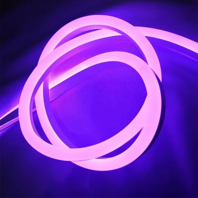 China Theme Park Violet Outdoor Indoor Lighting Building Decoration LED Neon Lamp Flexible Waterproof Strip for sale