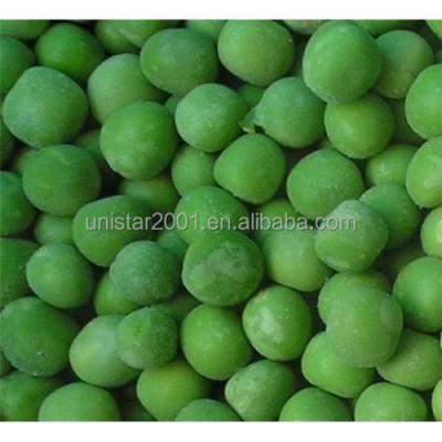 China IQF FACTORY SALE PRICE FROZEN HOT FROZEN PEAS for sale