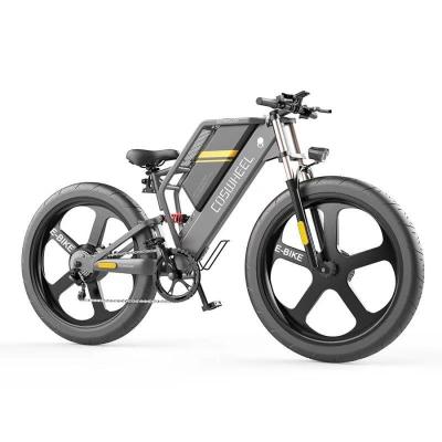 China Aluminum Alloy Coswheel Supplier 48v 1000w 750w Big Power Tire Bike/Electric Snow Ebike/Electric Beach Cruiser Bicycle for sale