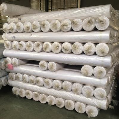 China Tear-resistant Polyester Greige Fabric 100% White Color For PFP Or PFD for sale