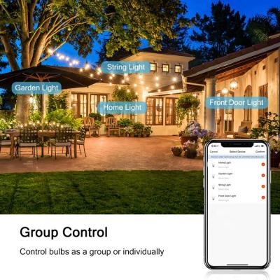 Cina RTS Home Product Wifi Bluetooth Led Edison Bulb Smart Wifi Lighting With Tuya App Remote Control in vendita