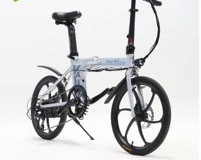 China Multifunctional 250W e Bike 20 Inch Hot Selling Electric Bicycle Customized Ebike Folding Electric Bicycle for sale