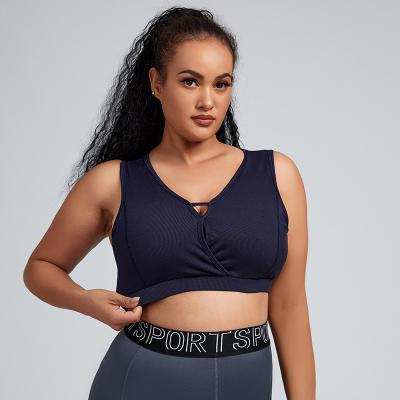 China High Impact Padded Antibacterial Push Up Dark Blue Yogo Fashionbra Tops Sports Plus Size Women Gym Wear for sale