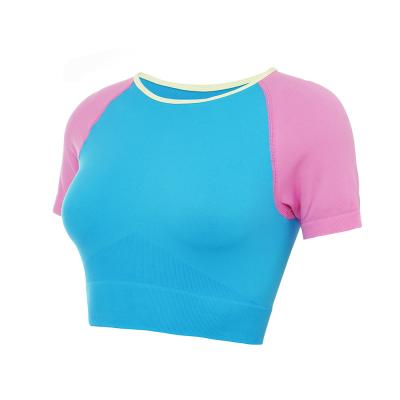 China Quick-Drying Net Red Short Sleeve Sports Breathable Candy Color T-shirt Fitness Yoga Running Tops for sale