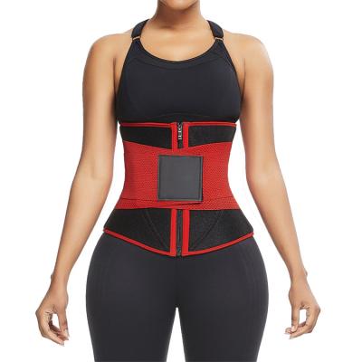 China Antibacterial Modern New Design Women Belt Elastic Waist Trainer With Zipper Spandex Material Waist Trainer for sale