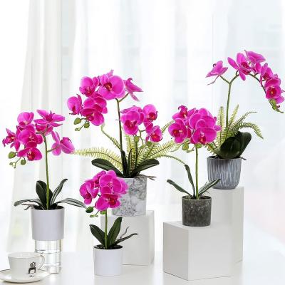 China Wedding Real Touch Latex Artificial Indoor Wedding Plants Artificial Orchid Flowers With Potted for sale