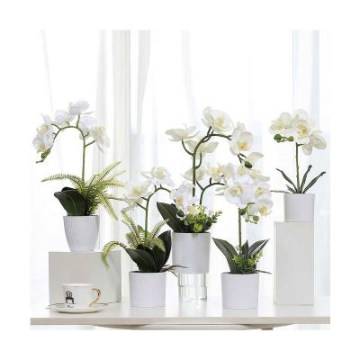 China 7 Touch Indoor Real Latex Decoration Heads White Orchid Flower Artificial Bonsai For Home Office Decor for sale