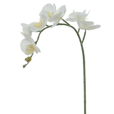 China Real natural touch 3D decorative artificial touch 7 heads phalaenopsis orchid flowers for DIY layout for sale