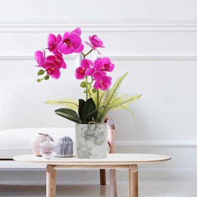 China 2021 Europe Red Artificial Orchid Flower For Decor for sale