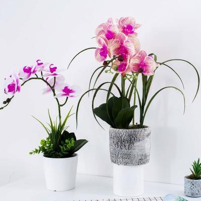 China Real Touch Artificial Flowers China Butterfly Orchids Wholesale Artificial Flowers Home Decoration for sale