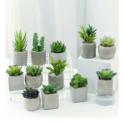 China Traditional Artificial Plastic Succulents Potted With Cement Pot Desktop Decoration For Home Office Indoor Ornaments for sale