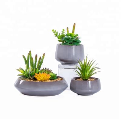 China Newest Factory Direct Selling Traditional Hot Fake Ceramic Pot Glossy Artificial Succulent Plants for sale