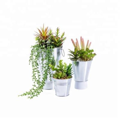 China Artificial Succulents Plant Potted Plants Traditional Direct Fake Succulents In Iron Flowerpot for sale