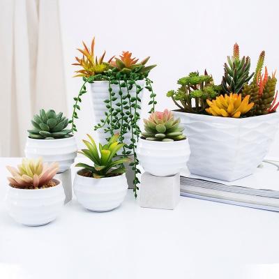 China DIY Layout Artificial Succulent Accessories Eco - Friendly Green Decorated Mini PVC / PE Artificial Succulent for sale