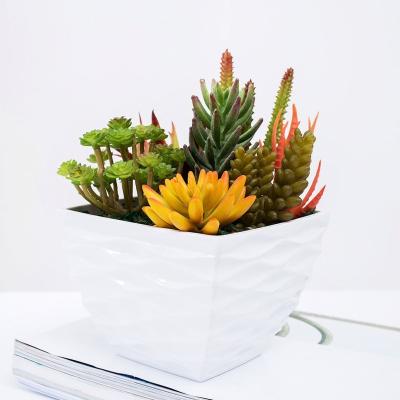 China Traditional White Melamine Pot Round Shape Artificial Succulent Plants for sale