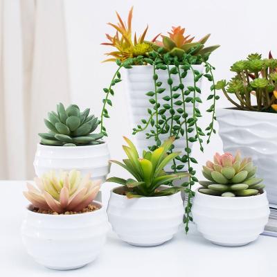 China Traditional High Quality Fake Succulent Artificial Succulent Plants in Melamine Pot for Home Decor for sale