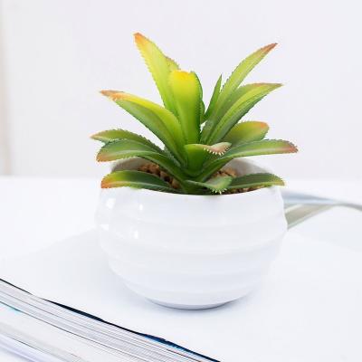 China From Plant Traditional Artificial Succulents Plants Fake Mixed Plants Directly DIY for sale