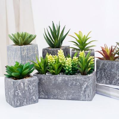 China 100% Handmade Kids Succulents Plant Indoor Decorative With Pulp Pot Home Decor for sale