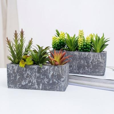 China Children's Artificial Succulent Plants With Pulp Pot Realistic Plants Potted Layouts For Kitchen Home Decor for sale