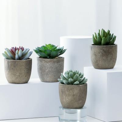 China Free Shipping Outdoor Miniature Kit Succulents Plants Traditional Plastic Faux Artificial Succulent Plants for sale