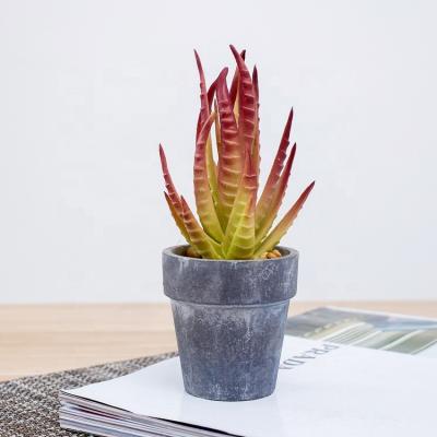 China Indoor Cheap Colorful Jade Succulent Artificial Aloe Plants for Home Decor for sale