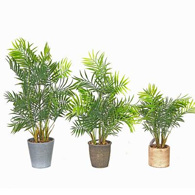 China Real Touch Plant Modern Direct Waterproof Green Fake Decorative Palm Tree Artificial Plants for sale