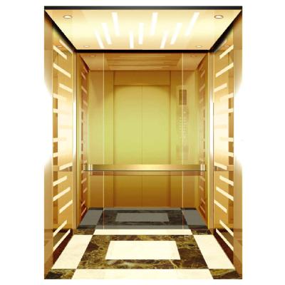 China Luxury Small Home Machine Elevator Hotel Villa Roomless Elevator for sale