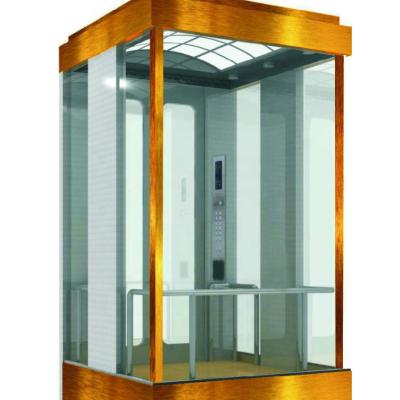 China Outdoor Hotel Elevator 360 Panoramic Glass Guided Elevator In Competitive Price for sale