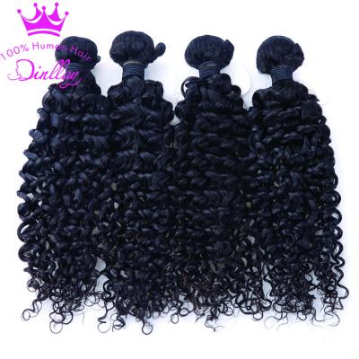 China Jerry Curl New Arrival Unprocessed Cuticle Aligned Full Brazilian Hair Bottom By Bundle for sale