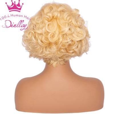 China Wholesale 13x6 Water Wave Lace Front Human Hair Wigs Pixie Cut Natural Short Curly Virgin Pre Plucked Lace Wig Vendors for sale