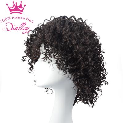 China Water Wave Machine Hair Wigs Virgin Short Curly Pixie Cut Wig Wholesale Vendors for sale