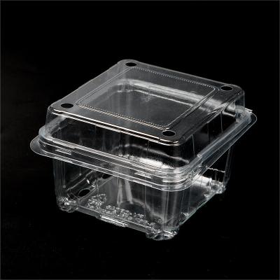 China Disposable Customize biodegradable packaging blister disposable plastic clear clamshell food containers for sale