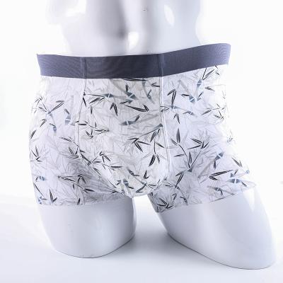 China Economical Anti-Wrinkle Custom Design Boxers Underwear Daily Use Mens Panties Briefs Cool Mens Design for sale