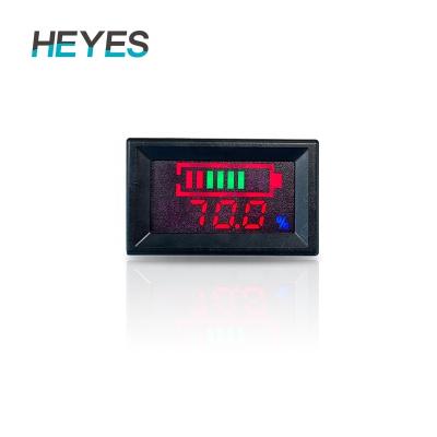 China High Quality Universal RV 48v 60v Discharge Battery Charge Capacity Cell Tester Voltage Battery Monitor Coulometer For Deep Cycle for sale