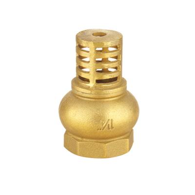 China General Foot Brass Bottom Spring Vertical Check Valve With SS Filter for sale