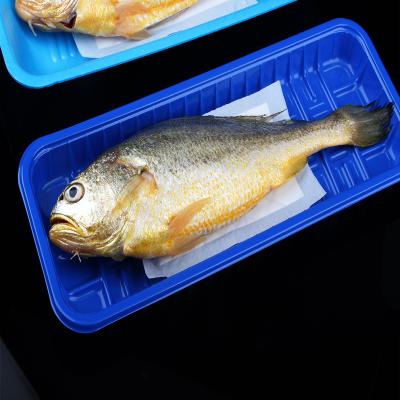 China Food Grade And Eco - Friendly Food Packaging Tray Biodegradable Fresh Fish Absorbent Protection for sale