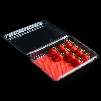 China Food Grade And Eco - Friendly Fruit Vegetable Plastic Tray Food Packaging Red Color Absorbent Pad for sale