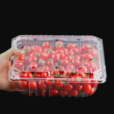 China Recyclable Wholesale Clear Container Clamshell Fruit Box For Supermarket Packaging for sale