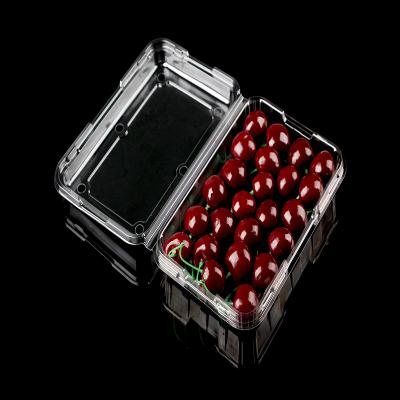 China Recyclable Transparent Disposable Fruit Box With Cover Packaging Box Supermarket Fruit Tray for sale