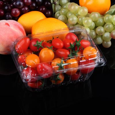 China Recyclable Popular Recyclable Clamshell Plastic Clear Box For Supermarket Fruit Packing Box for sale