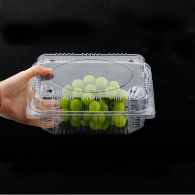 China Recyclable Disposable Plastic Clear Clamshell Box For Supermarket Fruit Packing Box for sale